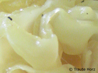 goldgelber Zitterling